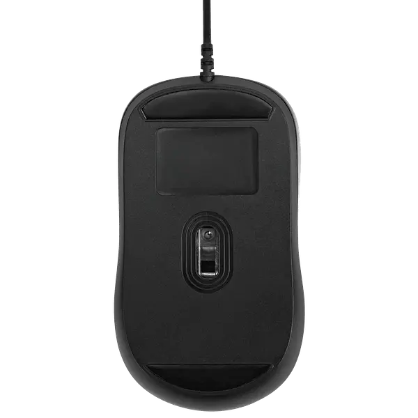 Targus Amu80 Mouse Usb Óptico Ambidiestro